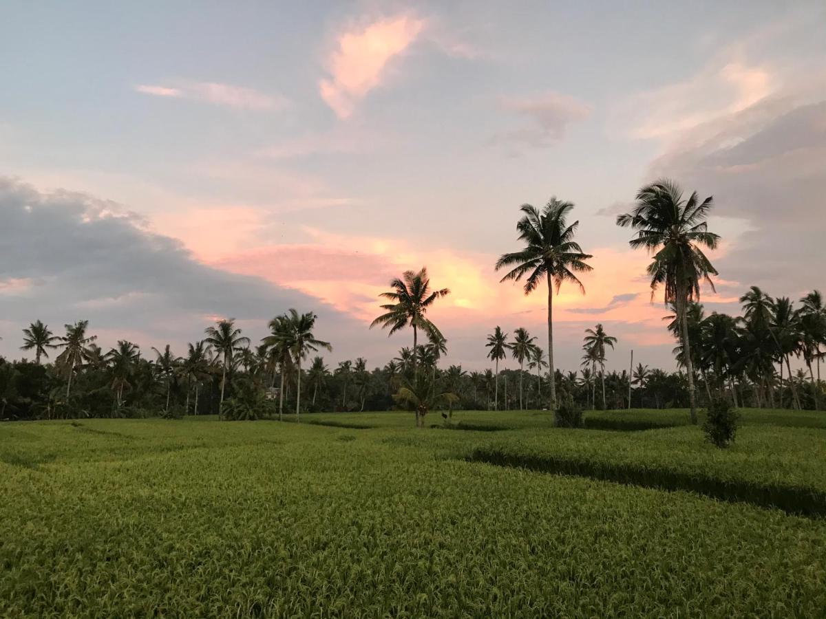 Sunset Pandawa Villa Ubud  Luaran gambar