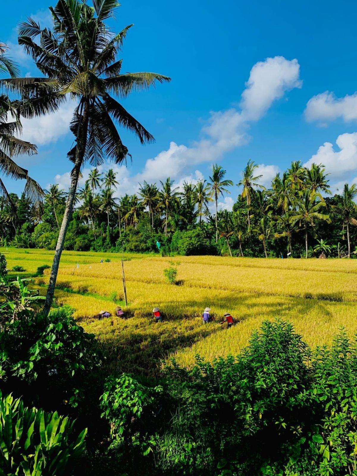 Sunset Pandawa Villa Ubud  Luaran gambar