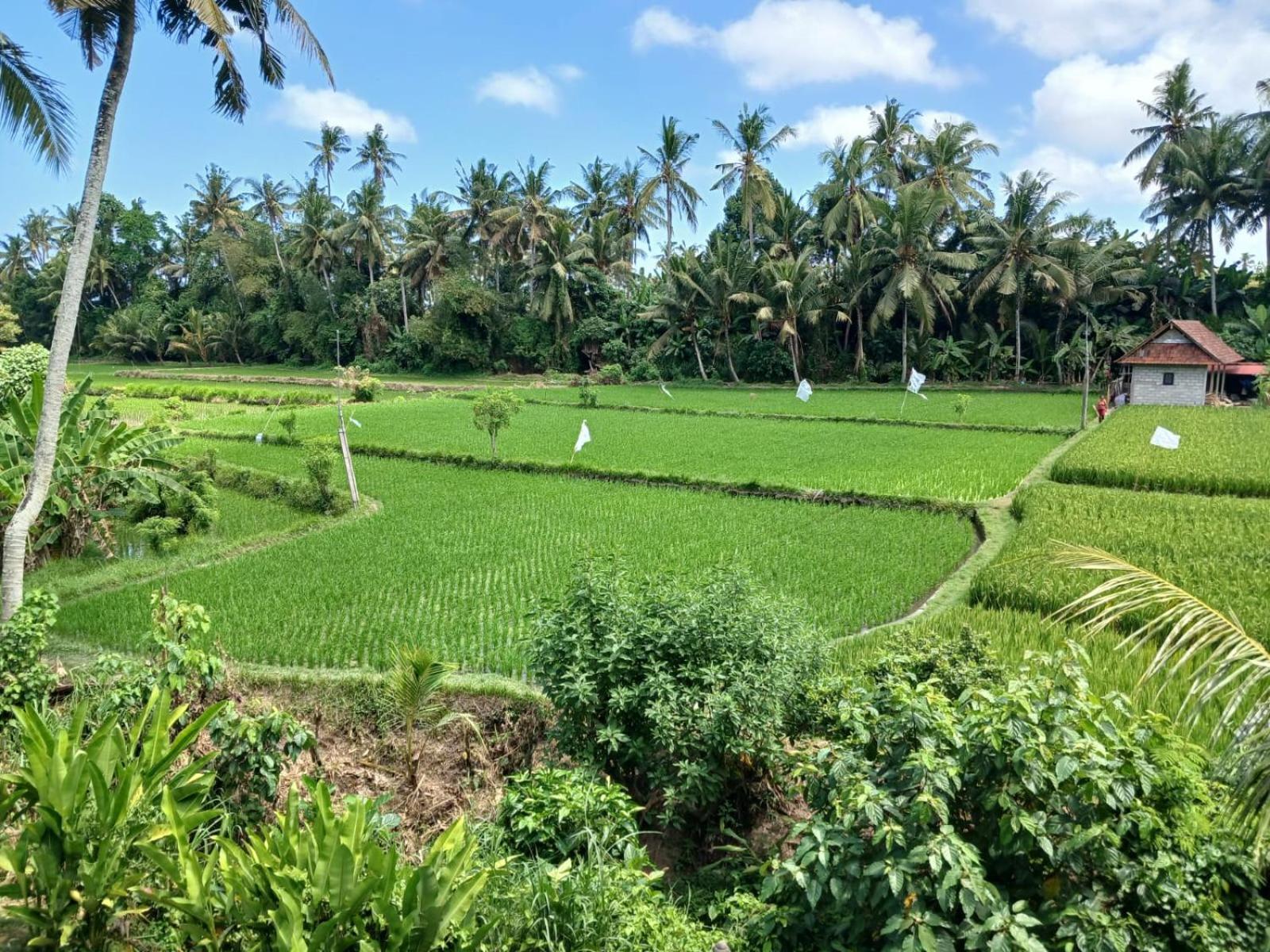 Sunset Pandawa Villa Ubud  Luaran gambar