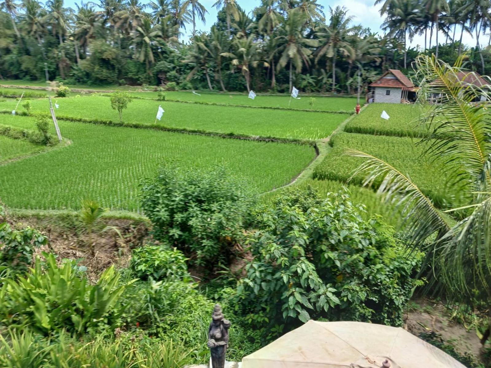 Sunset Pandawa Villa Ubud  Luaran gambar