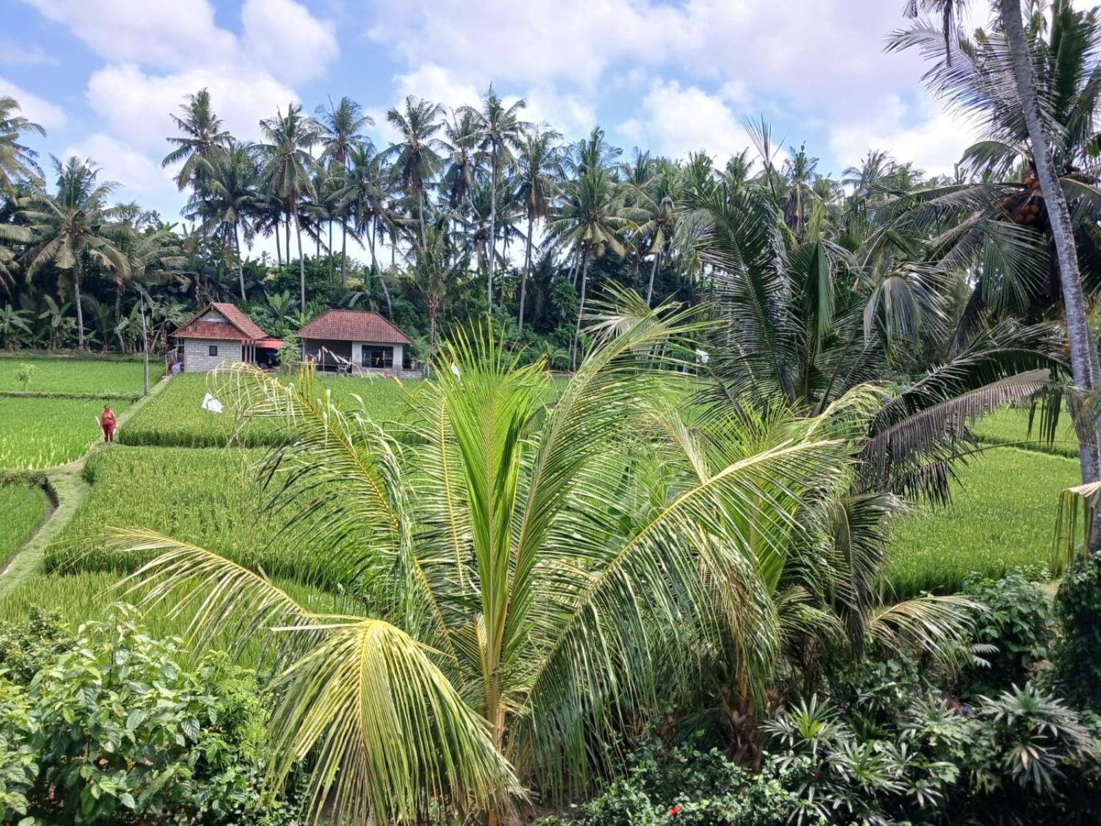 Sunset Pandawa Villa Ubud  Luaran gambar